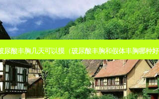 玻尿酸丰胸几天可以摸（玻尿酸丰胸和假体丰胸哪种好）