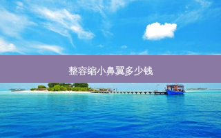 整容缩小鼻翼多少钱