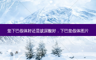 垫下巴假体好还是玻尿酸好，下巴垫假体图片