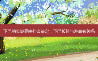 下巴的长短是由什么决定，下巴长短与寿命有关吗