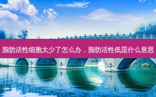 脂肪活性细胞太少了怎么办，脂肪活性低是什么意思
