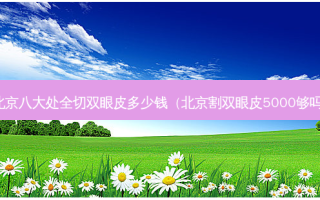 北京八大处全切双眼皮多少钱（北京割双眼皮5000够吗）