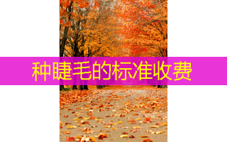 种睫毛的标准收费