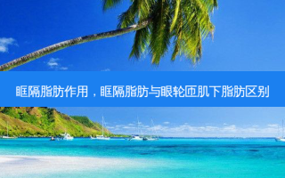 眶隔脂肪作用，眶隔脂肪与眼轮匝肌下脂肪区别
