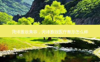 菏泽雅致美容，菏泽雅致医疗整形怎么样