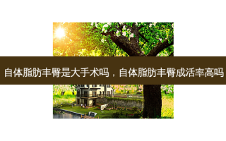 自体脂肪丰臀是大手术吗，自体脂肪丰臀成活率高吗