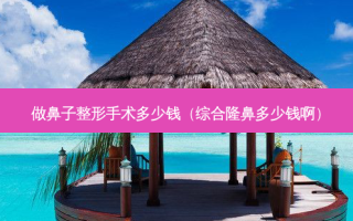 做鼻子整形手术多少钱（综合隆鼻多少钱啊）