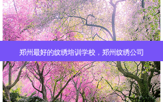 郑州好的纹绣培训学校，郑州纹绣公司