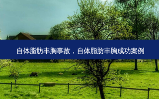 自体脂肪丰胸事故，自体脂肪丰胸成功案例