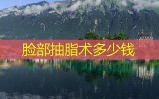 脸部抽脂术多少钱