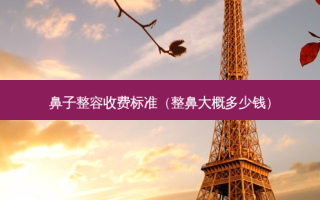 鼻子整容收费标准（整鼻大概多少钱）