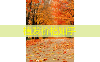 植发价格知乎
