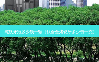 纯钛牙冠多少钱一颗（钛合金烤瓷牙多少钱一克）