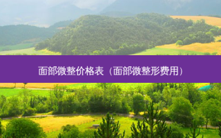 面部微整价格表（面部微整形费用）
