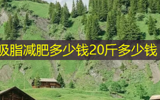 吸脂减肥多少钱20斤多少钱