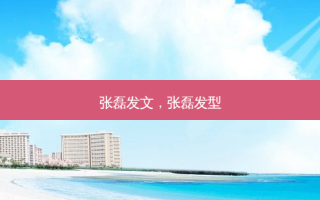 张磊发文，张磊发型