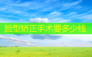 脸型矫正手术要多少钱
