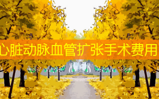 心脏动脉血管扩张手术费用