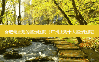 合肥正规的整形医院（广州正规十大整形医院）