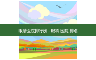 眼睛医院排行榜，眼科 医院 排名