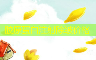 胶原蛋白注射除皱价格
