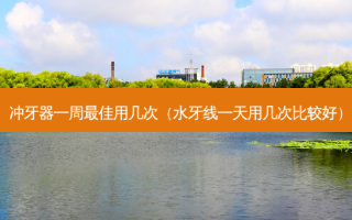 冲牙器一周佳用几次（水牙线一天用几次比较好）