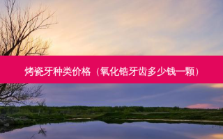 烤瓷牙种类价格（氧化锆牙齿多少钱一颗）