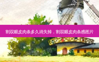 割双眼皮肉条多久消失掉，割双眼皮肉条感图片
