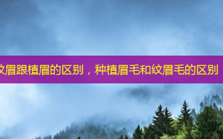 纹眉跟植眉的区别，种植眉毛和纹眉毛的区别
