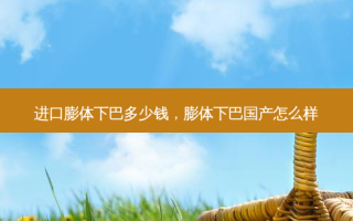 进口膨体下巴多少钱，膨体下巴国产怎么样