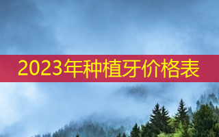 2023年种植牙价格表