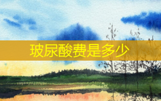 玻尿酸费是多少