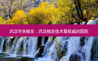 武汉华美植发，武汉植发技术的医院