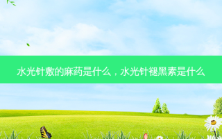 水光针敷的麻药是什么，水光针褪黑素是什么