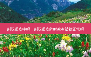 割双眼皮疼吗，割双眼皮的时候有皱褶正常吗