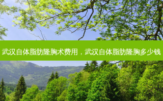 武汉自体脂肪隆胸术费用，武汉自体脂肪隆胸多少钱