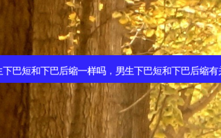 男生下巴短和下巴后缩一样吗，男生下巴短和下巴后缩有关吗