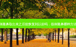 假体隆鼻取出来之后能恢复到以前吗，假体隆鼻哪种 *** 好