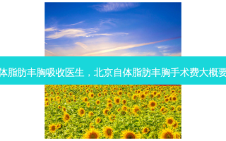 北京自体脂肪丰胸吸收医生，北京自体脂肪丰胸手术费大概要多少钱