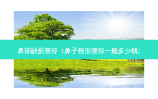 鼻部缺损整容（鼻子整形整容一般多少钱）