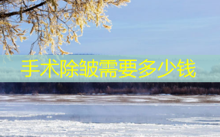 手术除皱需要多少钱
