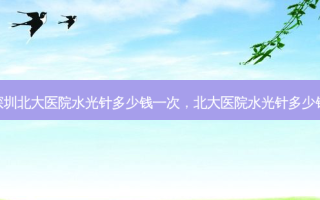 深圳北大医院水光针多少钱一次，北大医院水光针多少钱