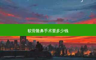 软骨隆鼻手术要多少钱