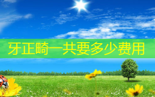 牙正畸一共要多少费用