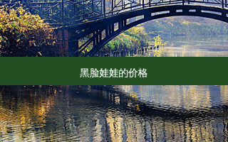 黑脸娃娃的价格