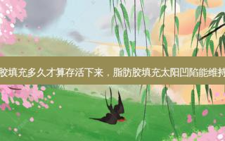 脂肪胶填充多久才算存活下来，脂肪胶填充太阳凹陷能维持多久