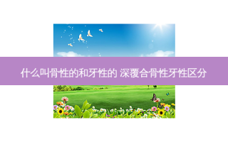 什么叫骨性的和牙性的 深覆合骨性牙性区分