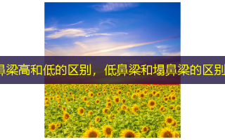 鼻梁高和低的区别，低鼻梁和塌鼻梁的区别