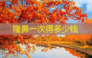 隆鼻一次得多少钱