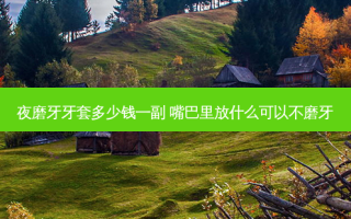 夜磨牙牙套多少钱一副 嘴巴里放什么可以不磨牙